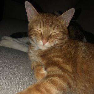 Meet your Posher, Chloe